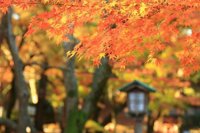 Kanazawa Machiya Inn Hana Eksteriør bilde